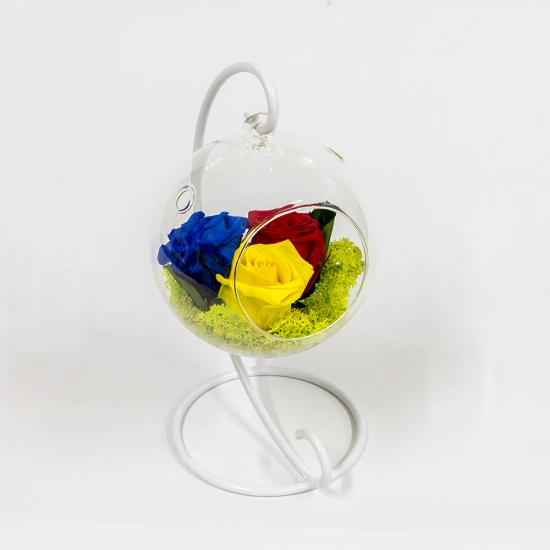 Tricoloratul