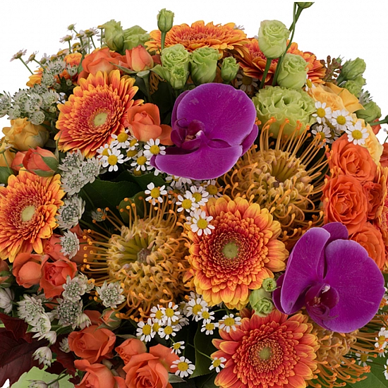 Buchet Leucospermum, Gerbera, Lisianthus, Phalaenopsis, Mușețel, Astrantia, Minirosa, Frunză Arțar