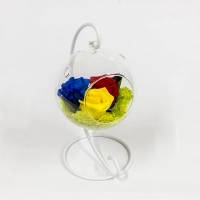 Tricoloratul 2