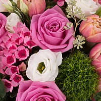 Aranjament de Trandafiri, Trandafiri,  Lalele, Lalea, Gerbera, Green trick, Lisianthus, Bouvardia 4
