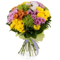 Buchet de 13, Crizanteme, Multicolore, Verdeață 2