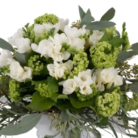 Buchet de 19, Frezii, Albe, Frezie, 10, Viburnum, Verdeață 3