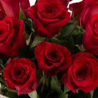 Buchet de 19 Trandafiri roșii 4