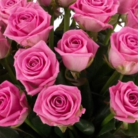 Buchet de 29 Trandafiri roz 4