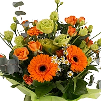 Buchet de 3, Lisianthus, Verde, 5, Gerbera, Portocalie, Portocaliu, 5, Minirosa, Portocalie, Musețel 3