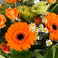 Buchet de 3, Lisianthus, Verde, 5, Gerbera, Portocalie, Portocaliu, 5, Minirosa, Portocalie, Musețel 4