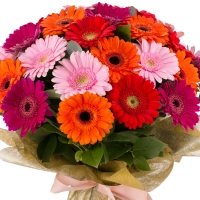 Buchet de 33, Gerbera, Multicoloră, Verdeață 3