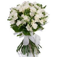 Buchet de 49, Frezii, Albe, Frezie, Verdeață 2