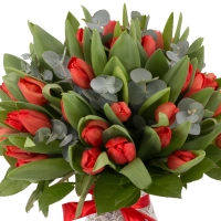 Buchet de 49, Lalele, Roșii, Lalea, Roșie, Roșu, Eucalypt 3