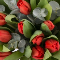 Buchet de 49, Lalele, Roșii, Lalea, Roșie, Roșu, Eucalypt 4