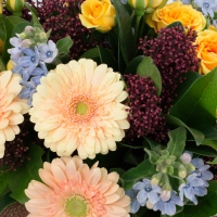 Buchet de 5, Minirosa, Galbenă, 5, Schimia, 3, Gerbera, Crem, 8, Oxypetalum, Verdeață 4