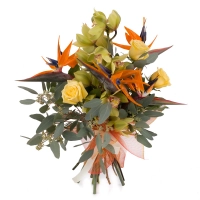 Buchet de 5, Strelitzia, Streliția, 1, Cymbidium, Verde, Orhidee, Verzi, 3, Trandafiri, Galbeni 2
