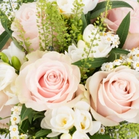 Buchet de 9, Trandafiri, Roz, 8, Frezii, Albe, Frezie, 6, Euphorbia, Albă, Verdeață 4