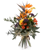 Buchet din Streliția, Strelitzia, Trahelium Mov, Cale galbene, Cală, Minirosa portocalie, Portocaliu 2