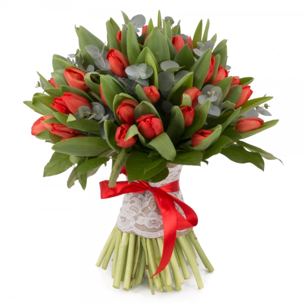 Buchet de 49, Lalele, Roșii, Lalea, Roșie, Roșu, Eucalypt